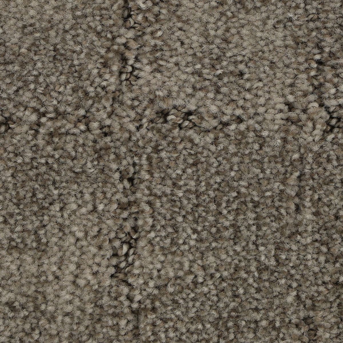 Elaborate Appeal carpet in Fleece