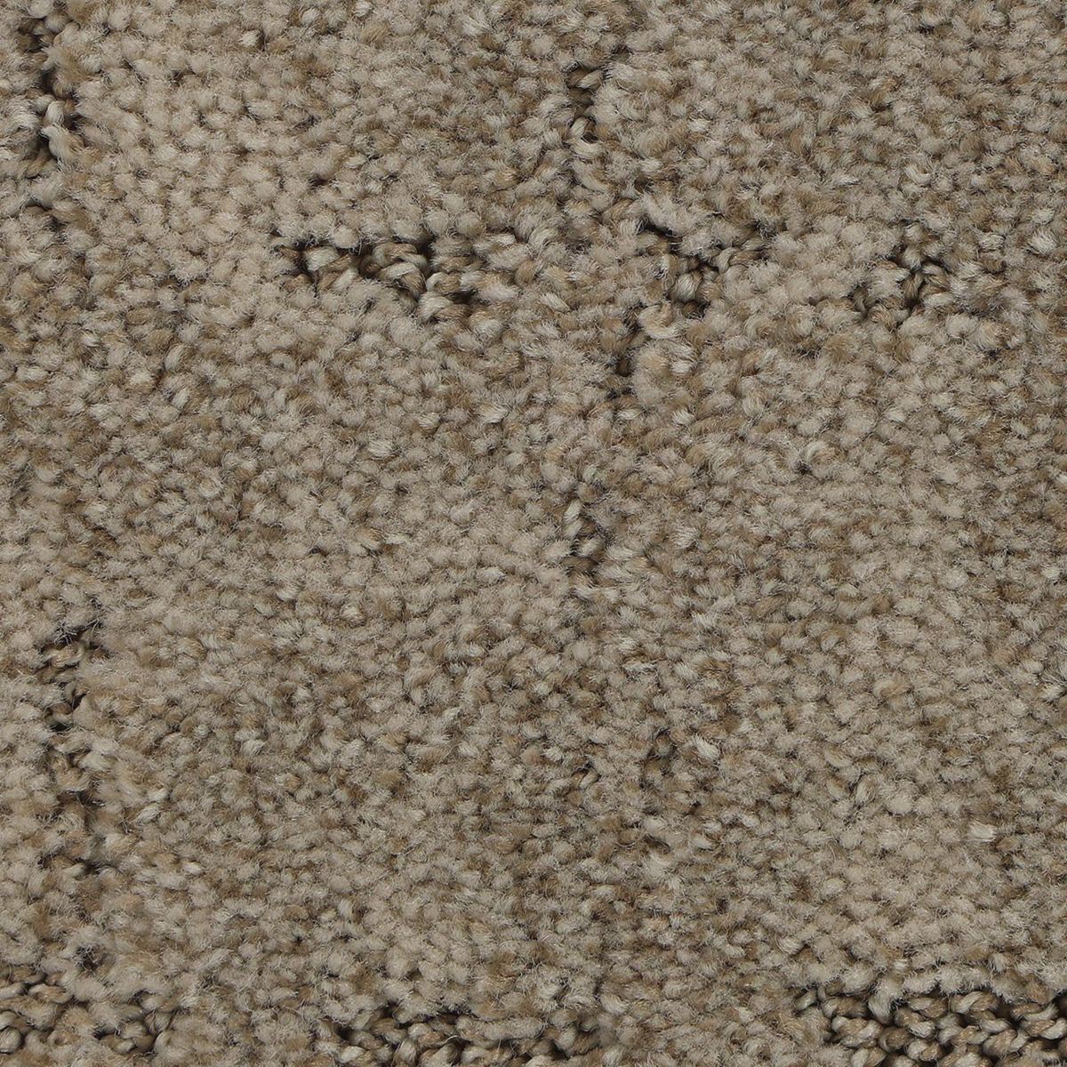 Elaborate Appeal carpet in Nomad