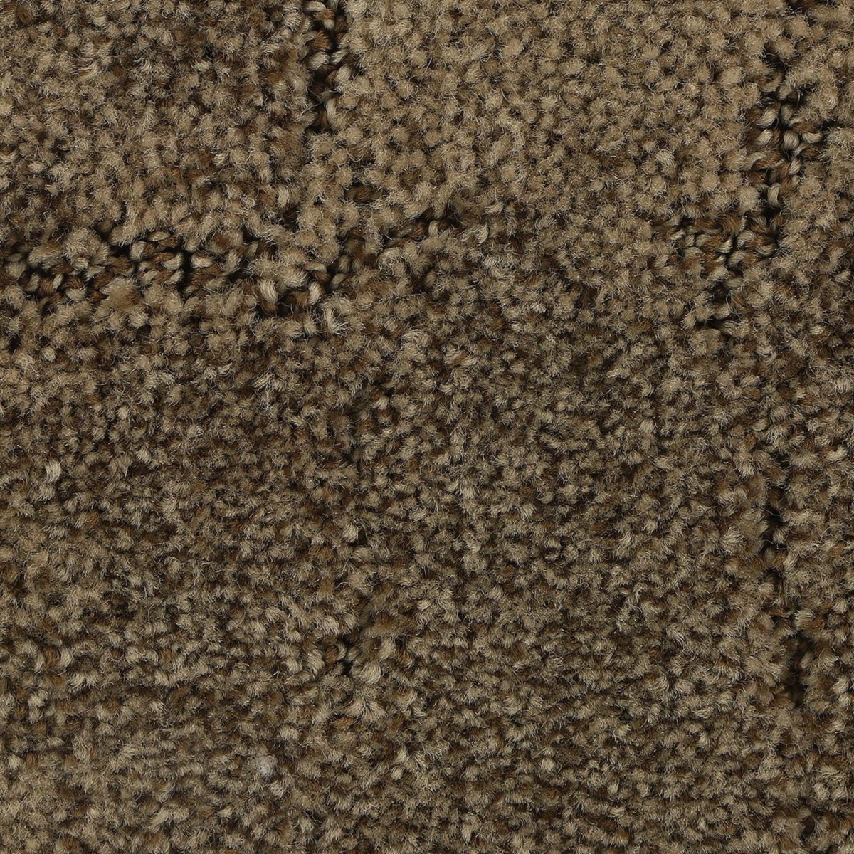 Elaborate Appeal carpet in Hoot Owl