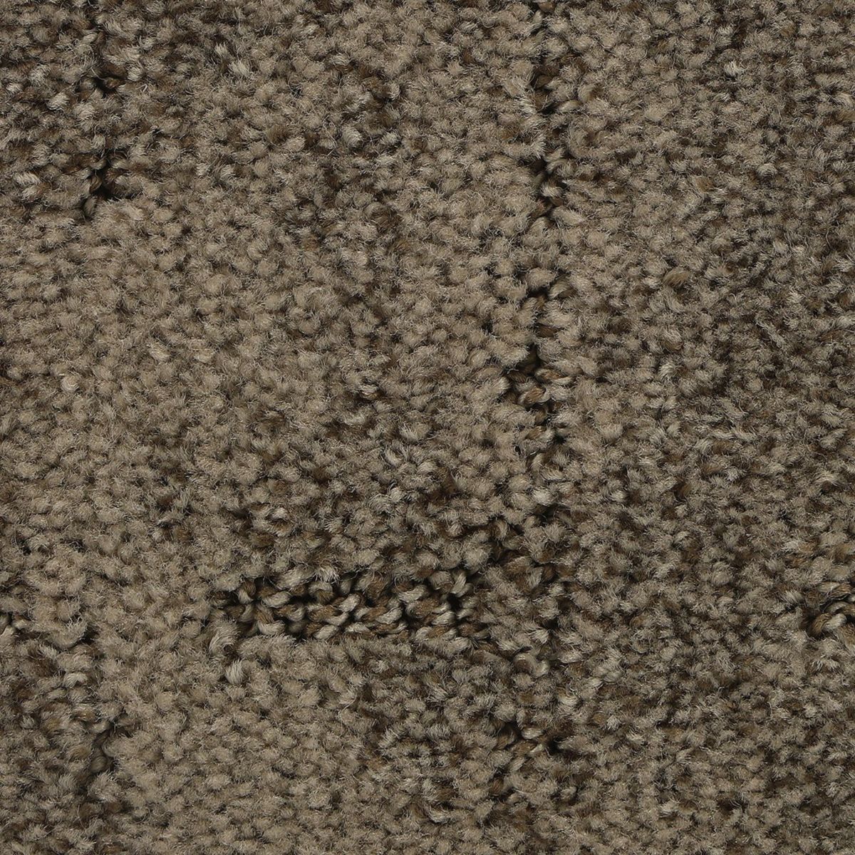 Elaborate Appeal carpet in Woodland