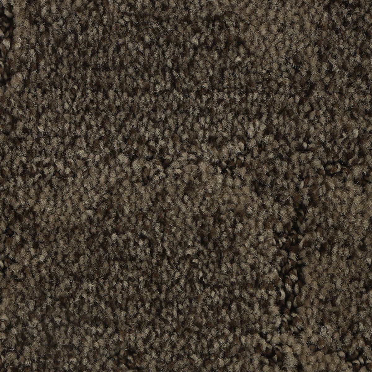 Elaborate Appeal carpet in Sequoia