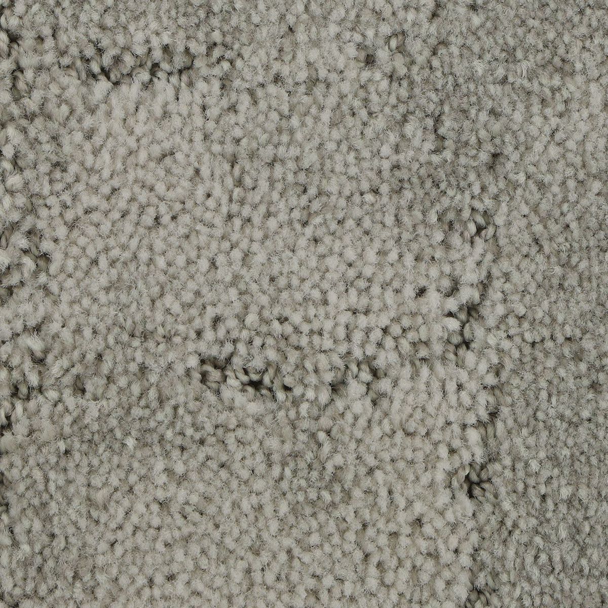 Elaborate Appeal carpet in Bird Bath