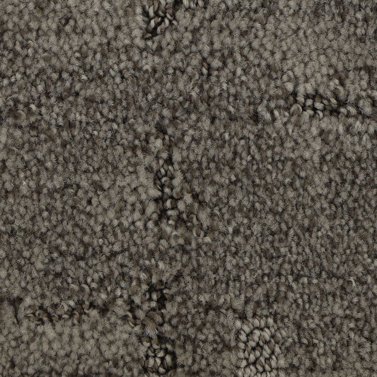 Elaborate Appeal carpet in Oyster