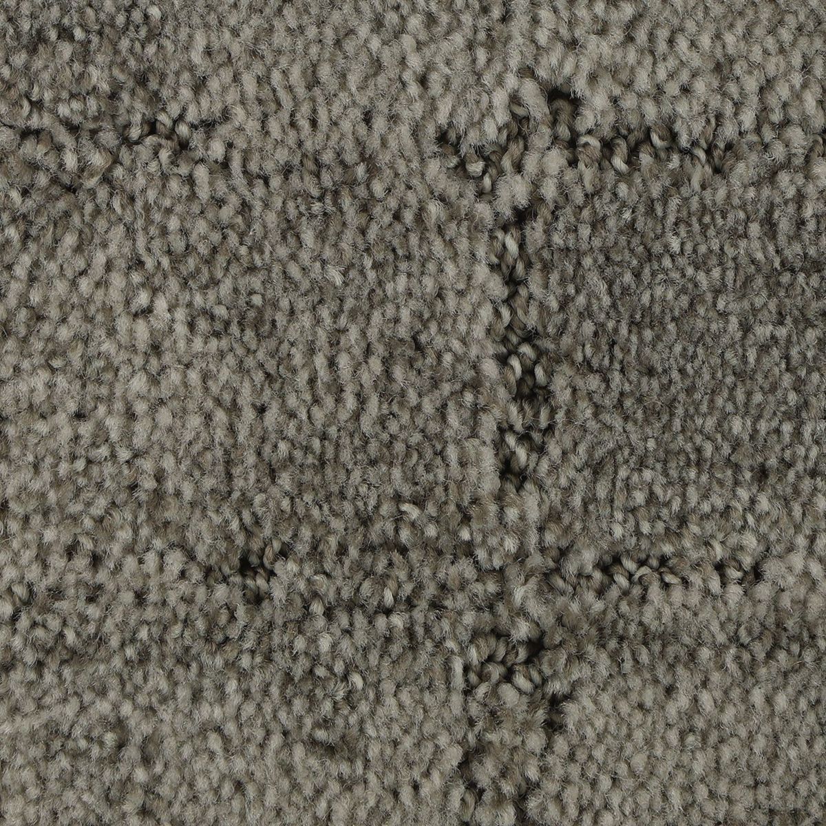 Elaborate Appeal carpet in Boulevard