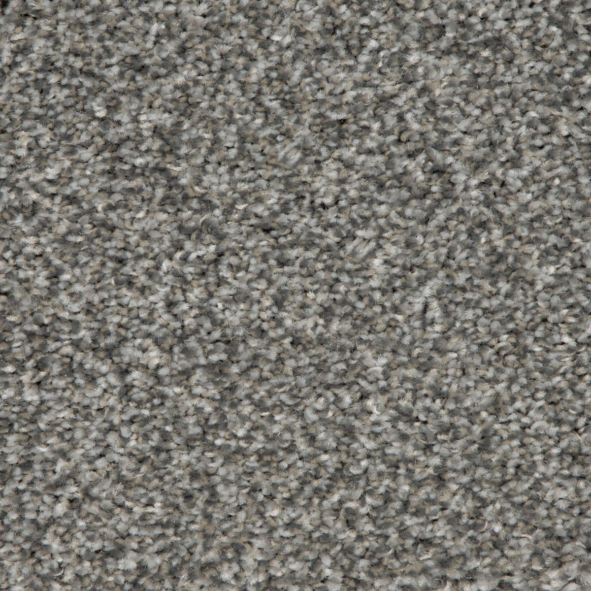 Refreshing Shades carpet in Etching