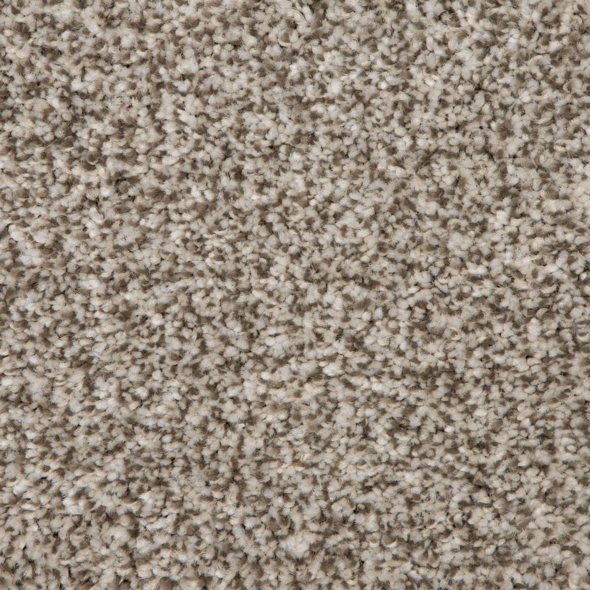 Refreshing Shades carpet in Graceful