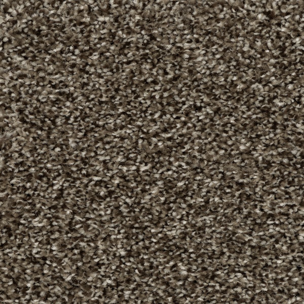 Refreshing Shades carpet in Powerful