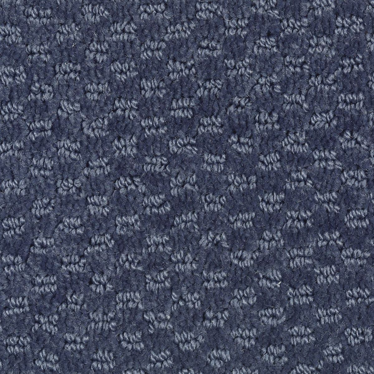 Dynamo carpet in Night Navy