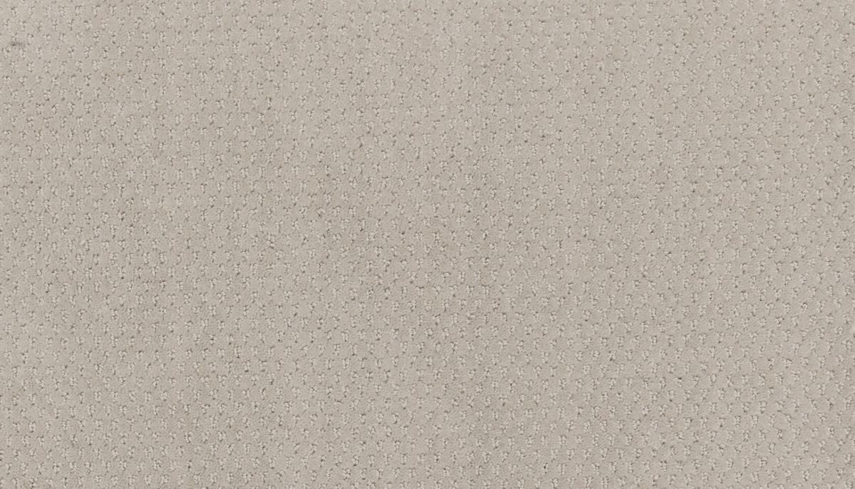 Dynamic Momentum carpet in Electric