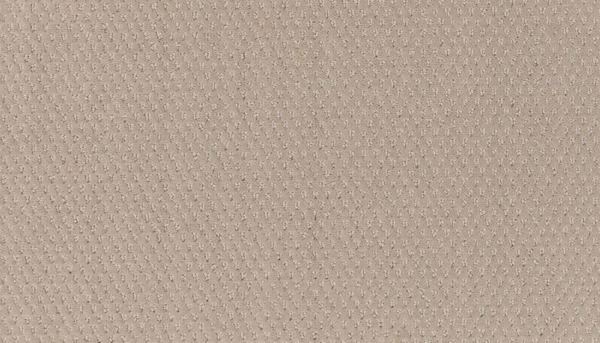 Dynamic Momentum carpet in Rapid