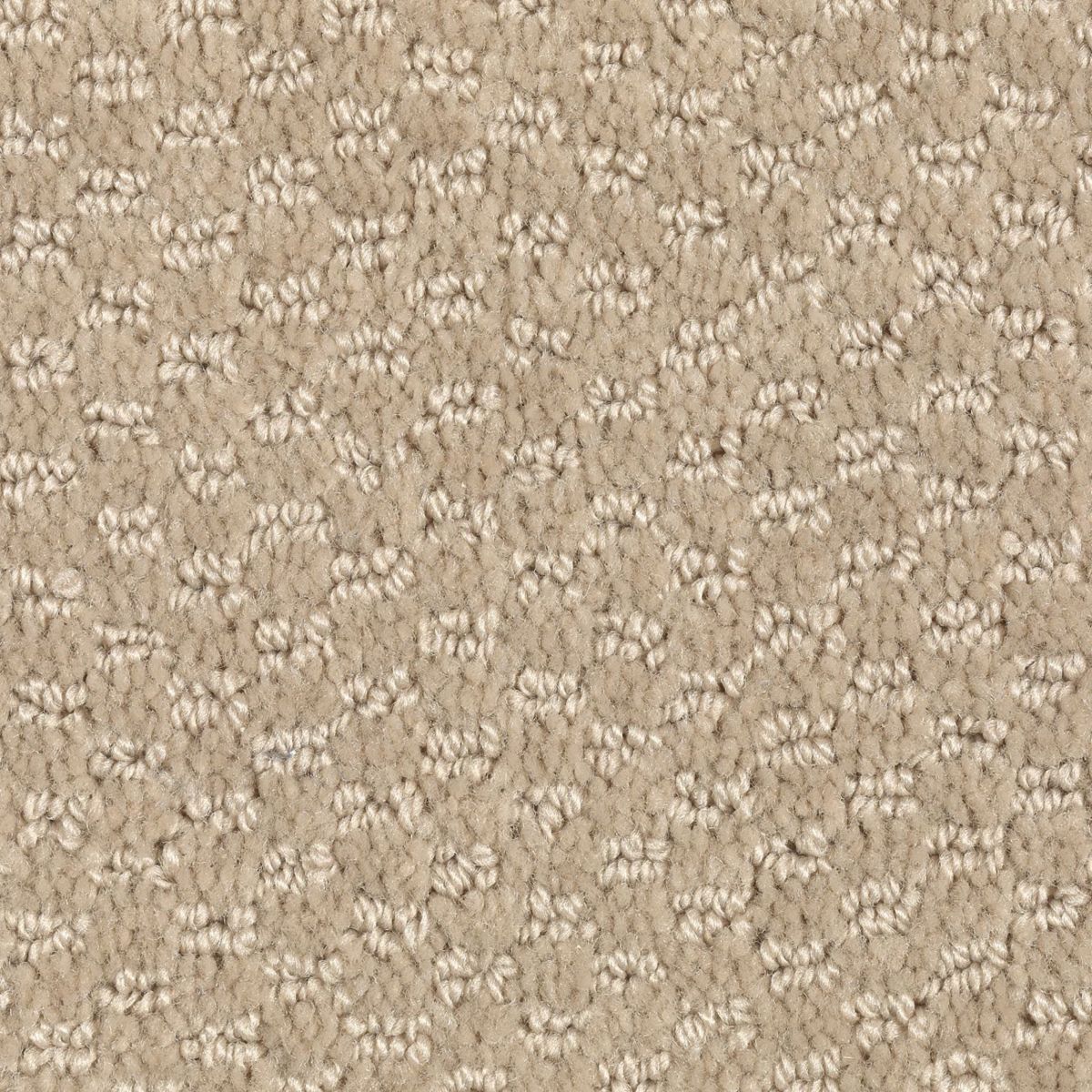 Dynamo carpet in Bamboo Buff