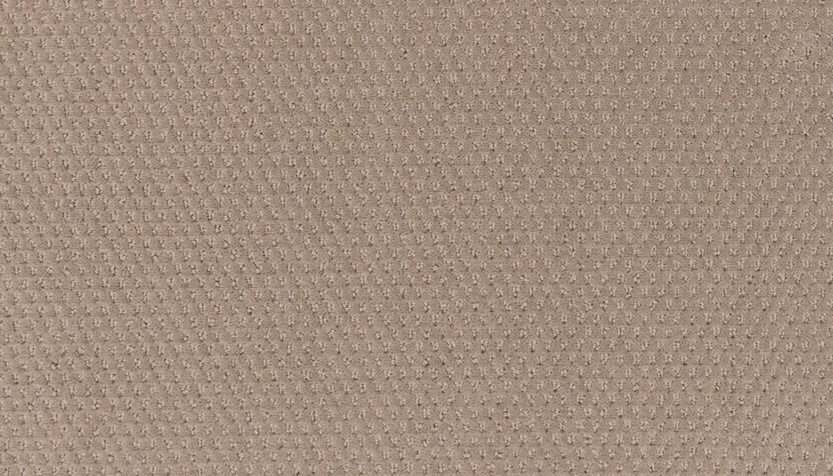 Dynamic Fusion carpet in Velocity
