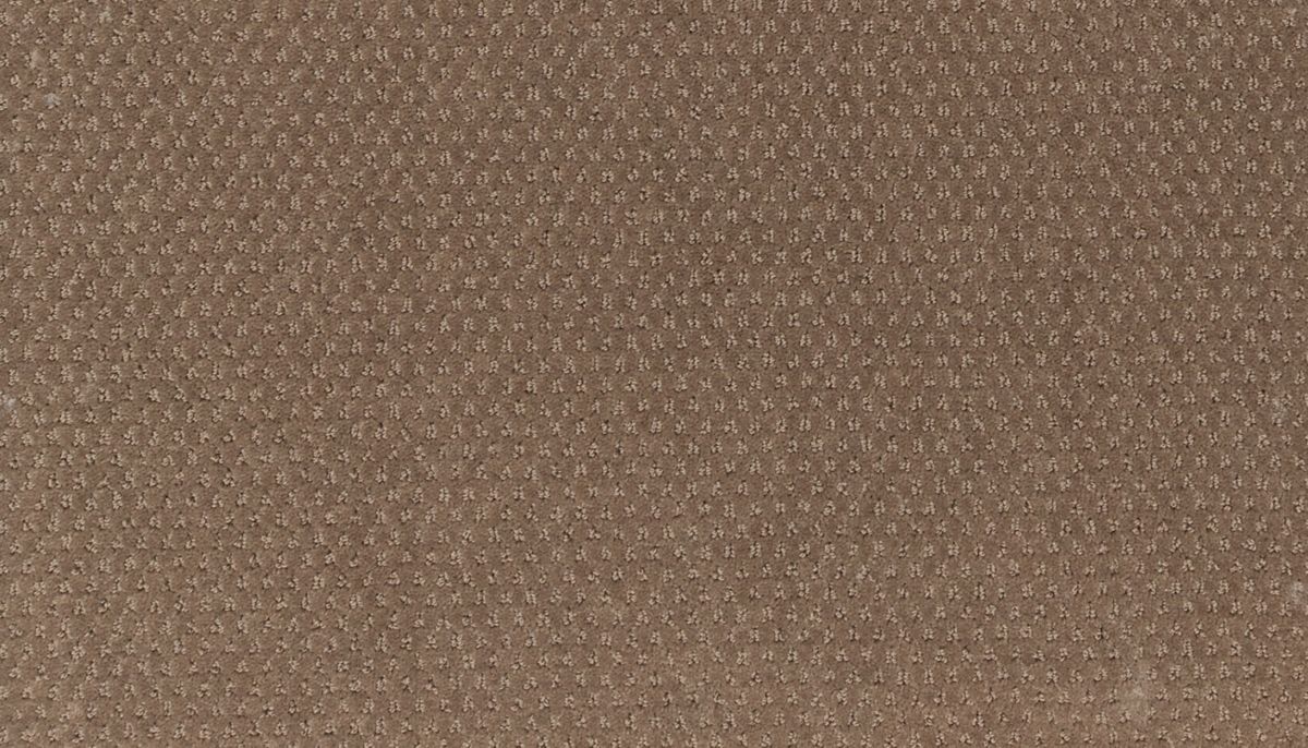 Dynamic Momentum carpet in Energy