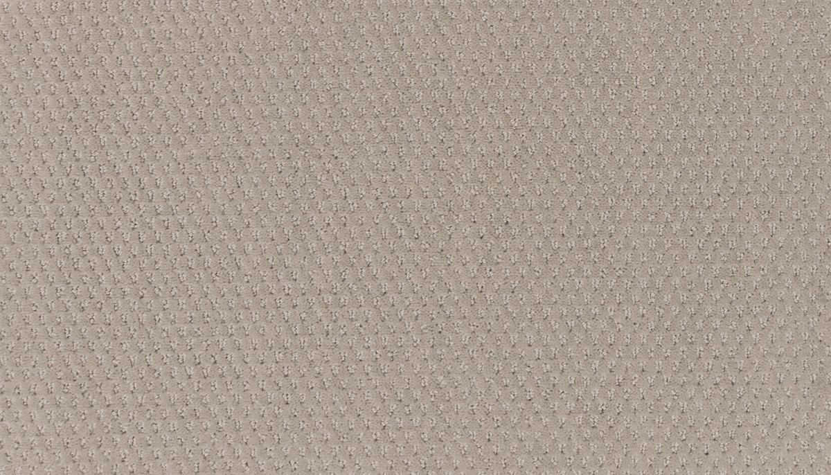 Dynamic Fusion carpet in Spirited