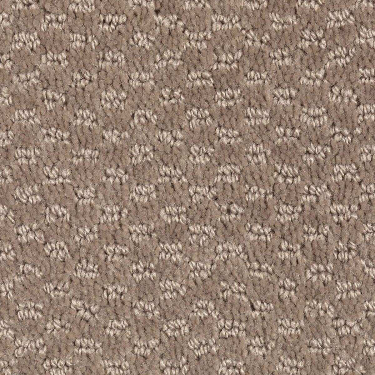 Dynamo carpet in Havana Tan