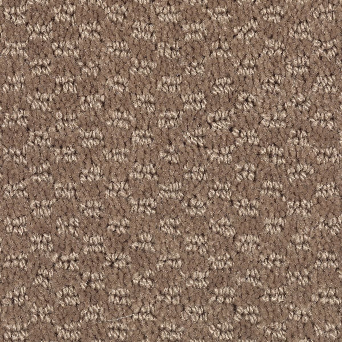 Jameson Crossing carpet in Gingersnap