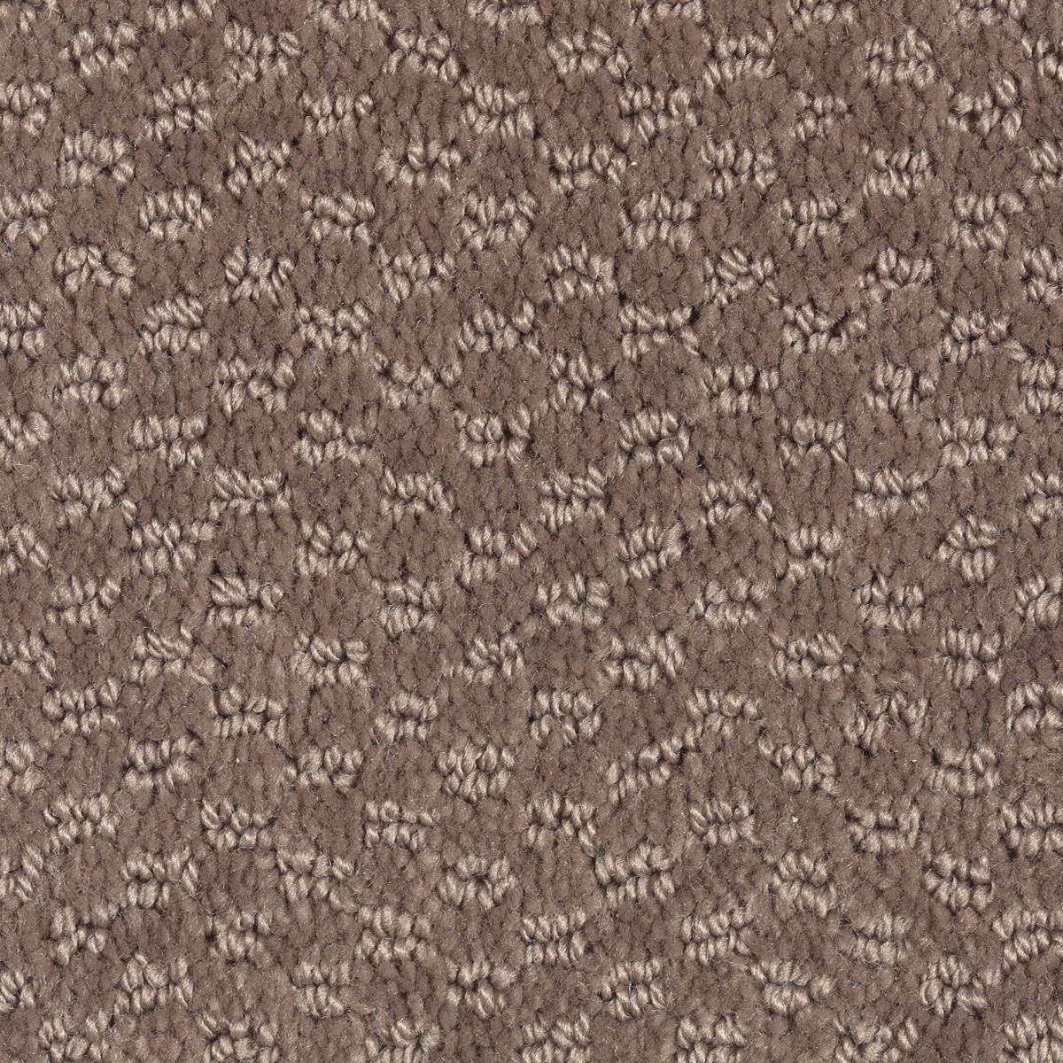 Dynamo carpet in Wild Frontier
