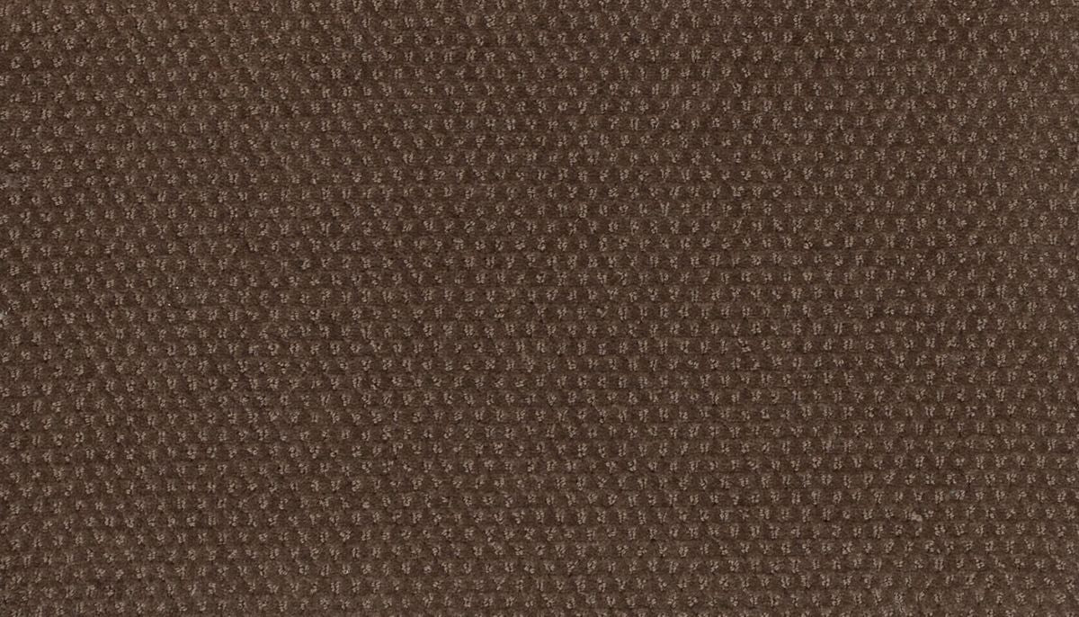 Dynamic Momentum carpet in Motion