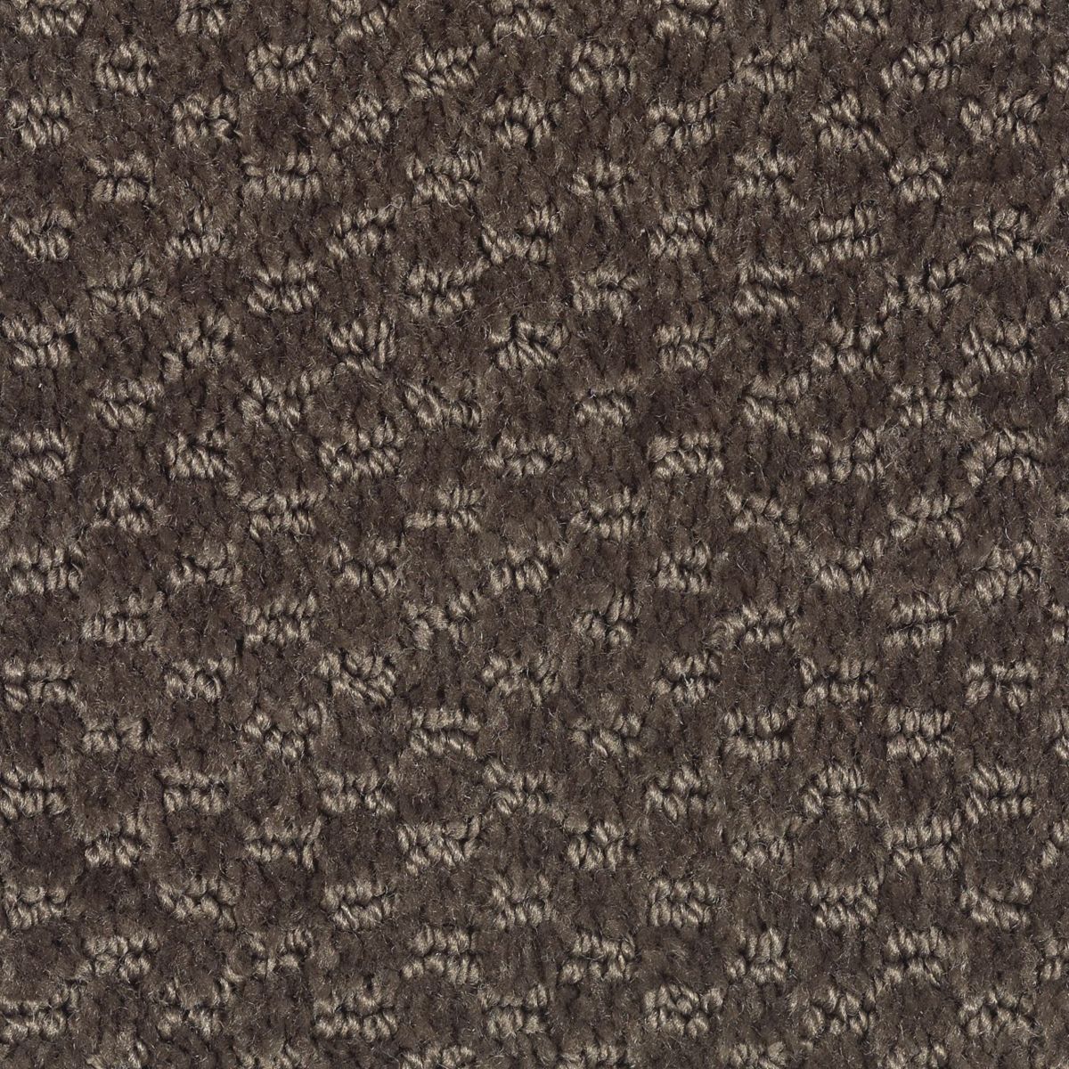 Dynamo carpet in Cigar Leaf