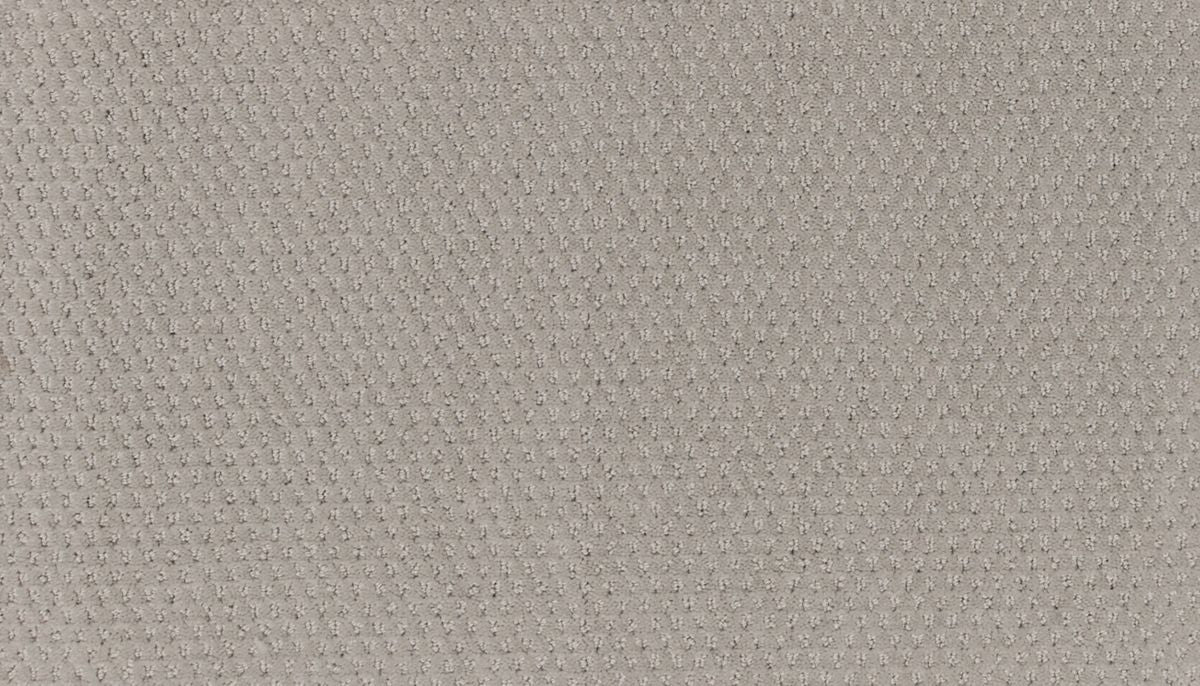 Dynamic Momentum carpet in Flashing