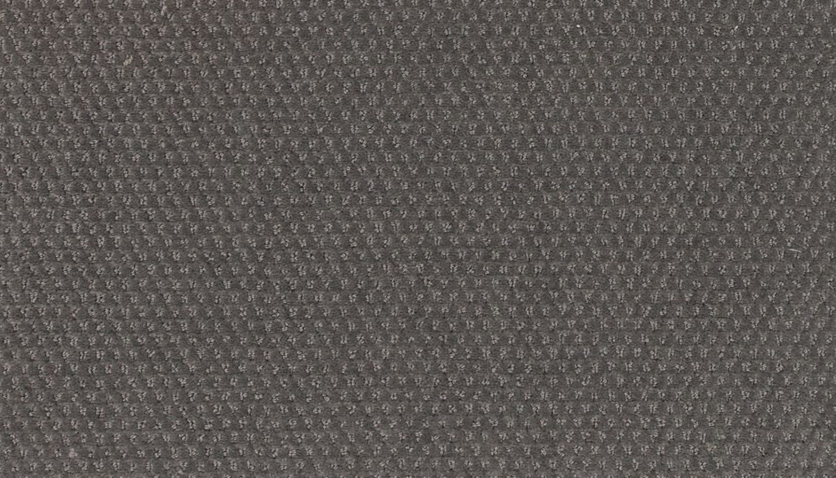 Dynamic Momentum carpet in Intense