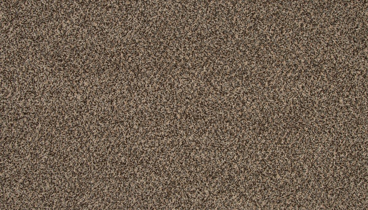 Refreshing Charm carpet in Salutation