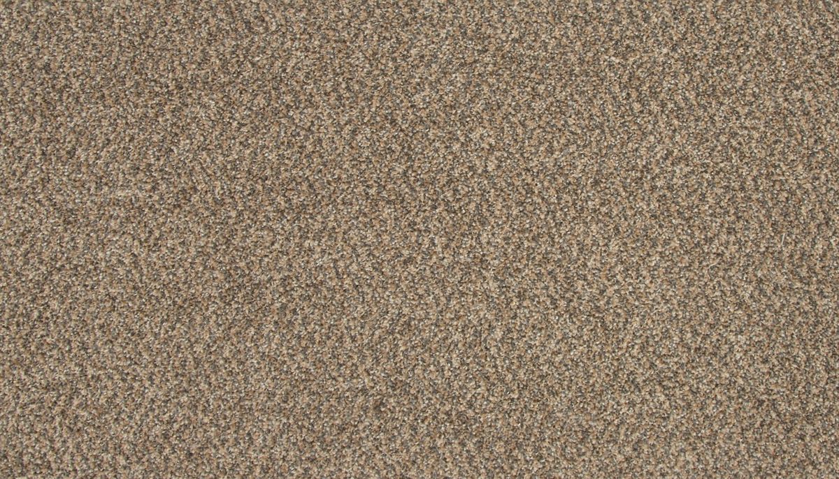 Refreshing Charm carpet in Intrigue