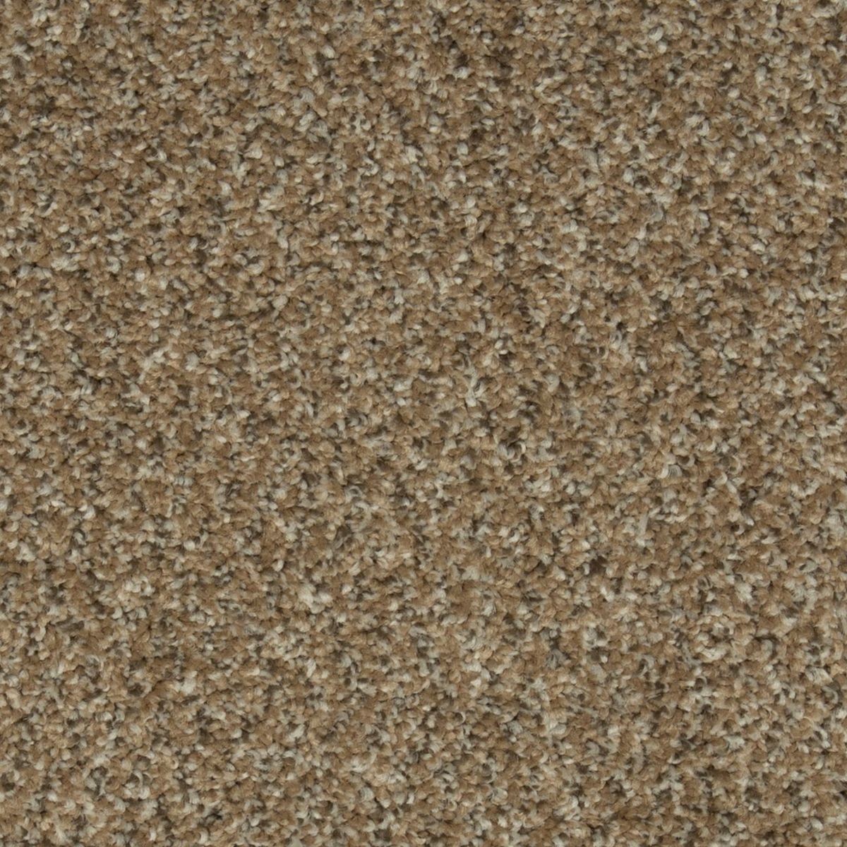 Colorful Blend II carpet in 832