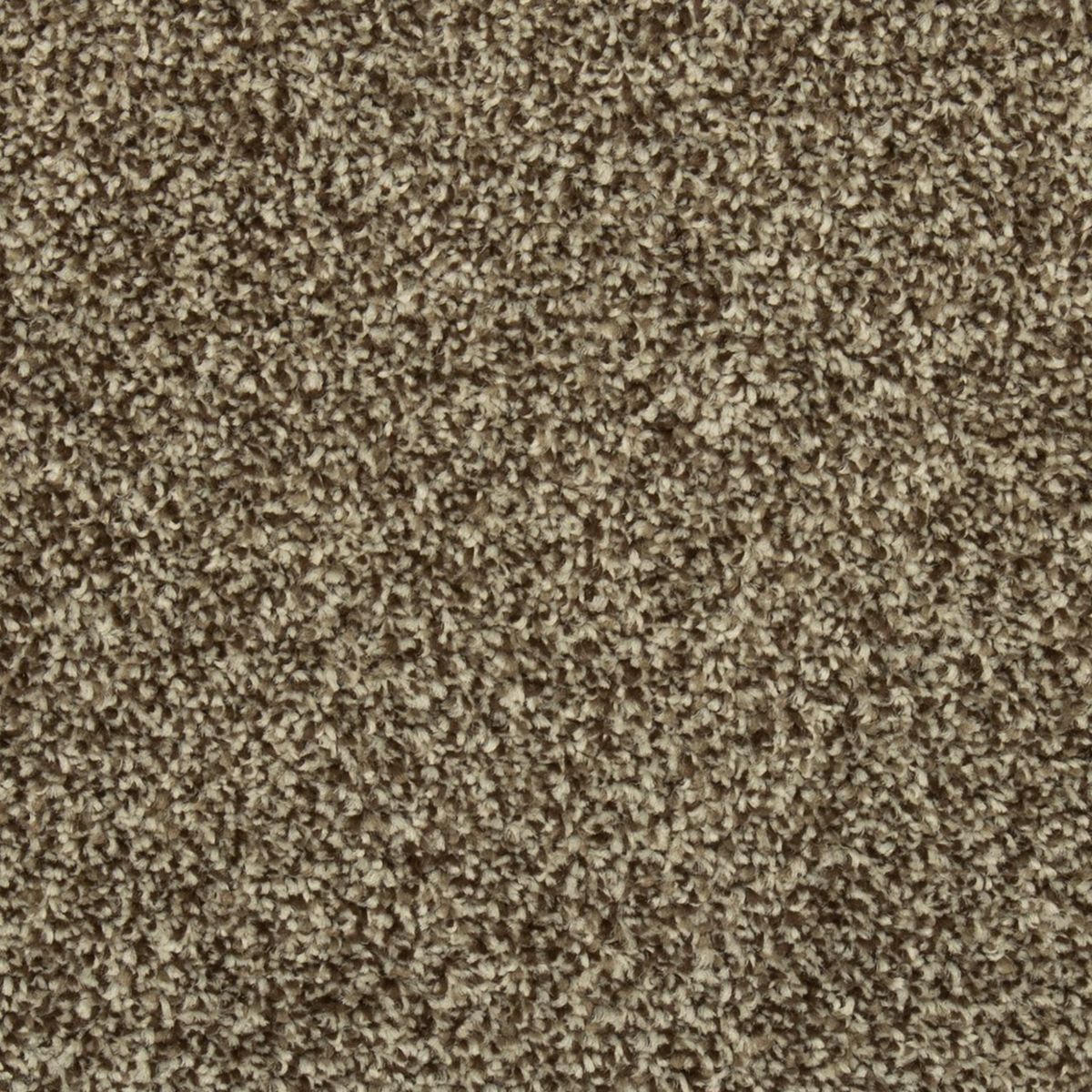 Colorful Blend II carpet in 889