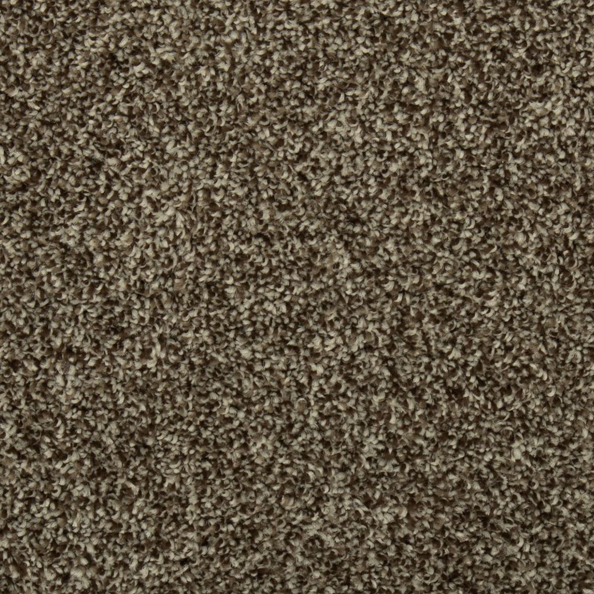 Colorful Blend III carpet in 889