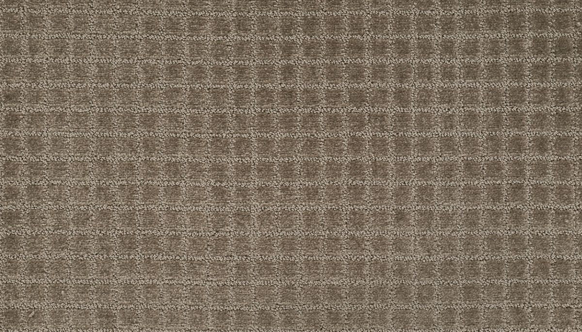 First Class II carpet in Longhorn