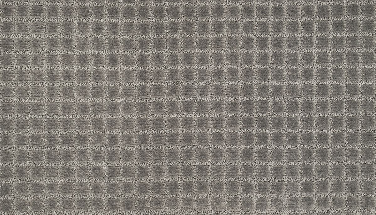 Demand Attention II carpet in Rocky Bluffs