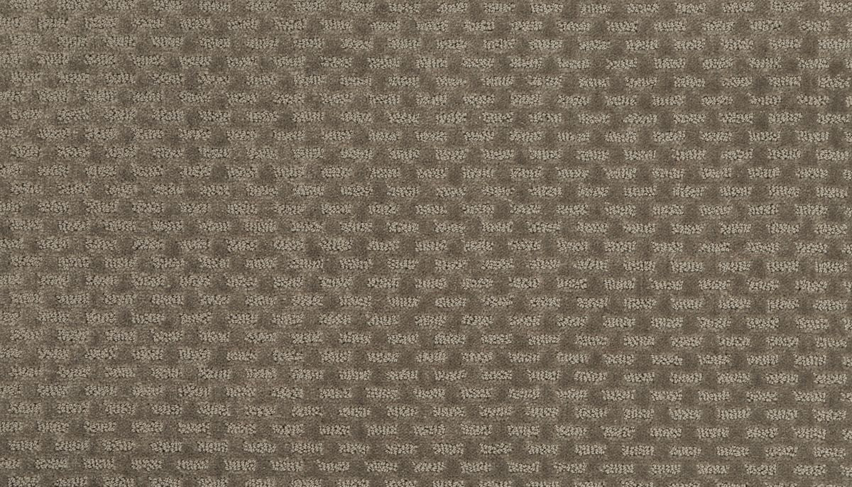 Top Notch II carpet in Fall Fields