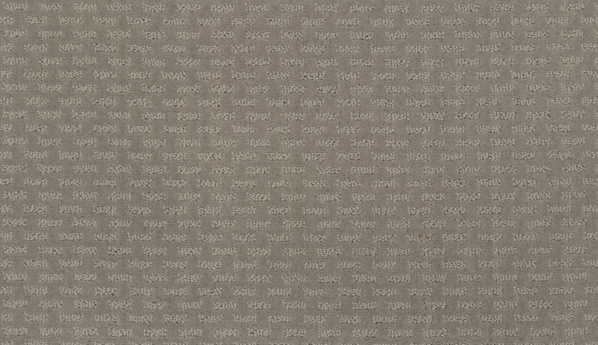 Top Notch II carpet in Stardust
