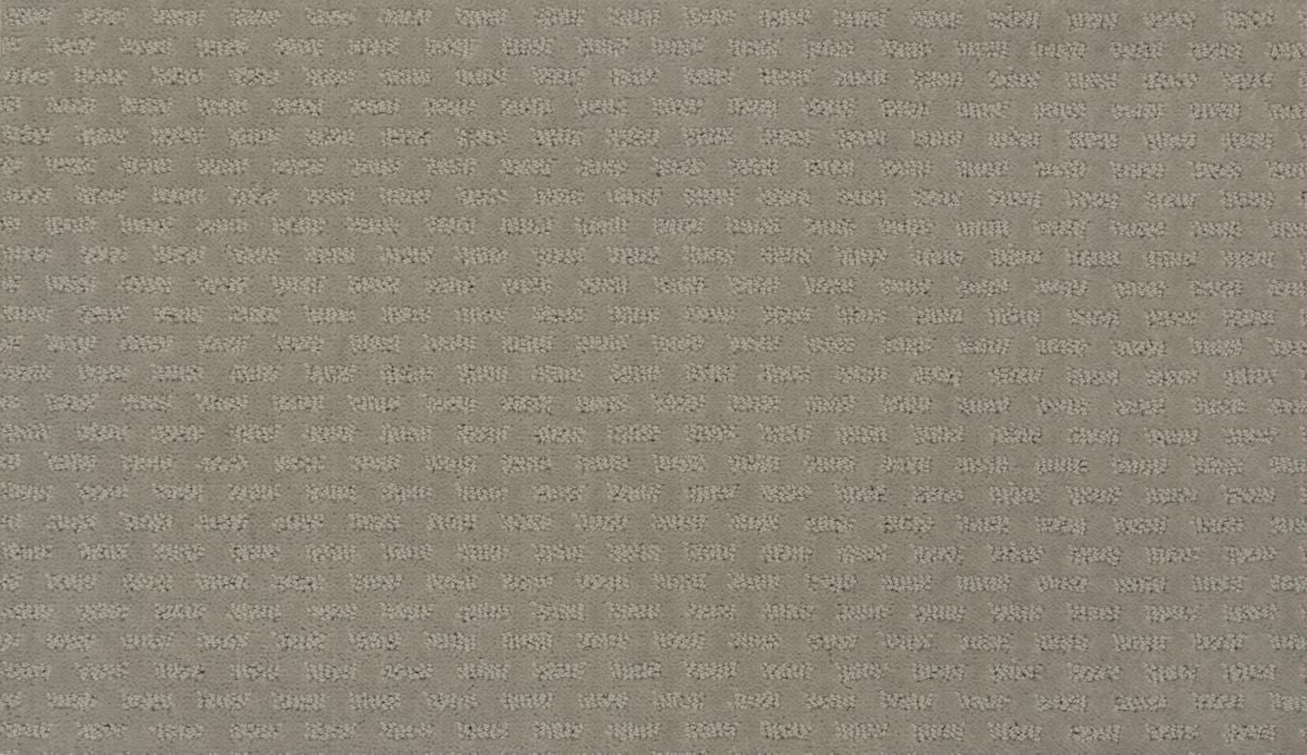 Well Rounded II carpet in Reflections