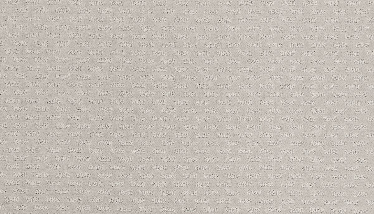 Well Rounded II carpet in Cloudland