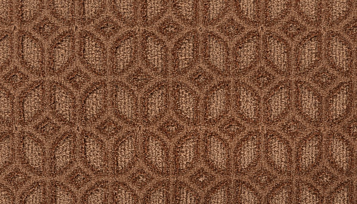 Regal Appeal carpet in Renew