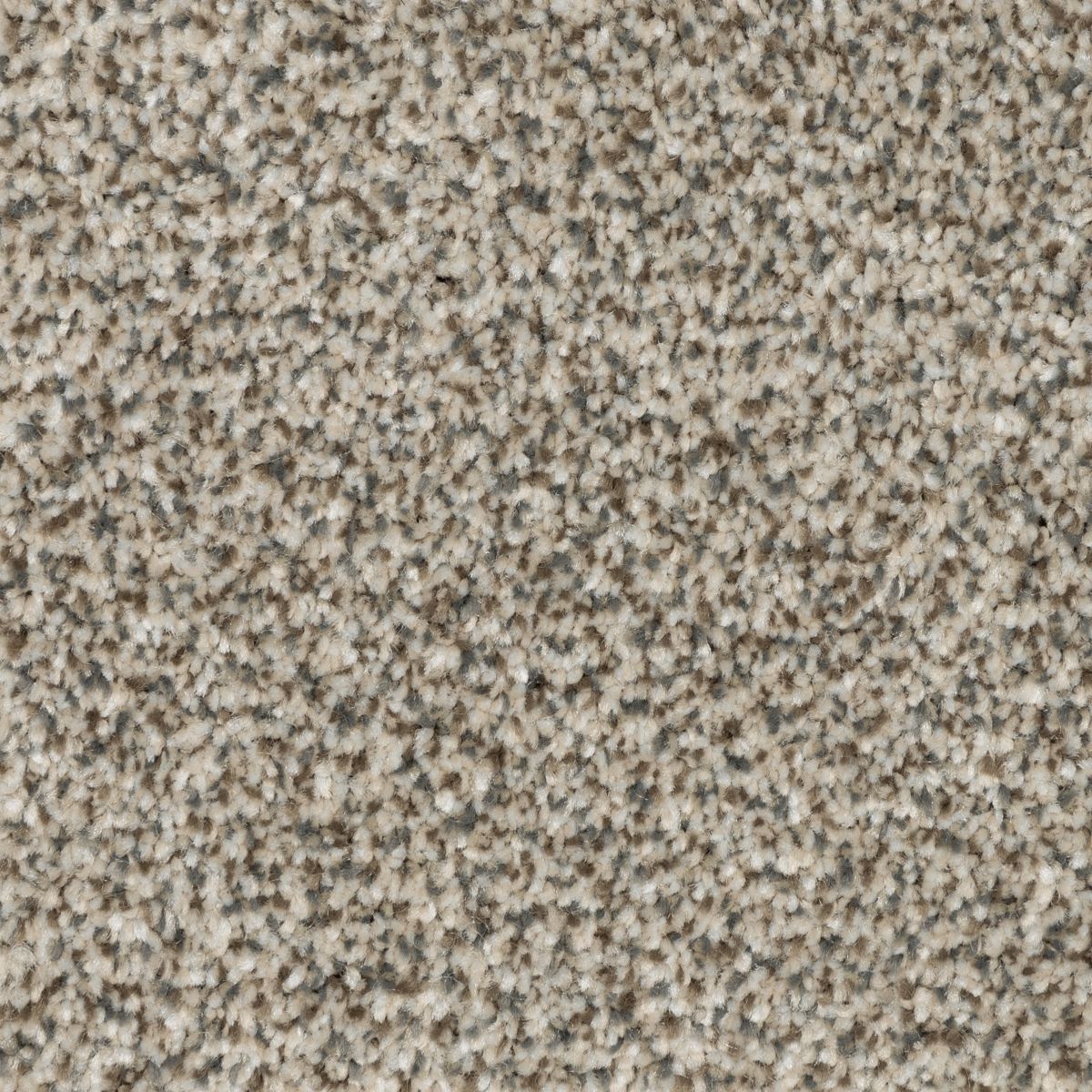 Refreshing Shades carpet in Majestic