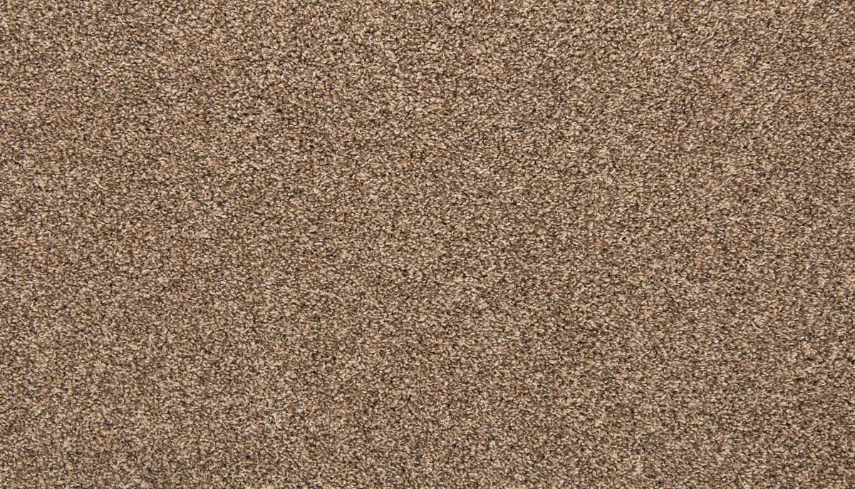 Classic Hues I carpet in Mystic Wood