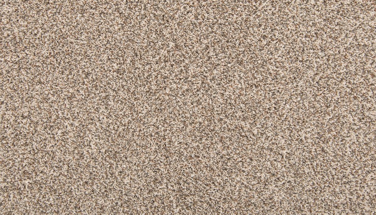 Classic Hues I carpet in Melody