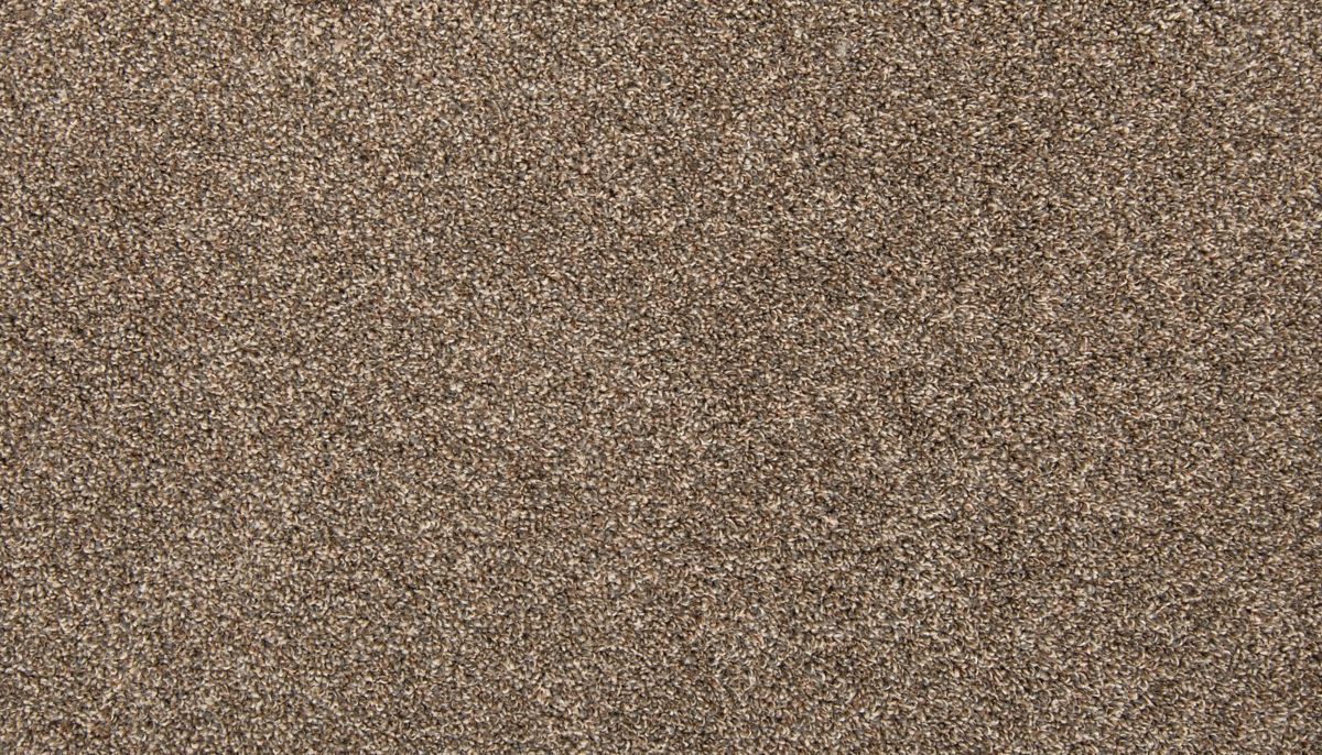 Color Classics I carpet in Scotch Mist