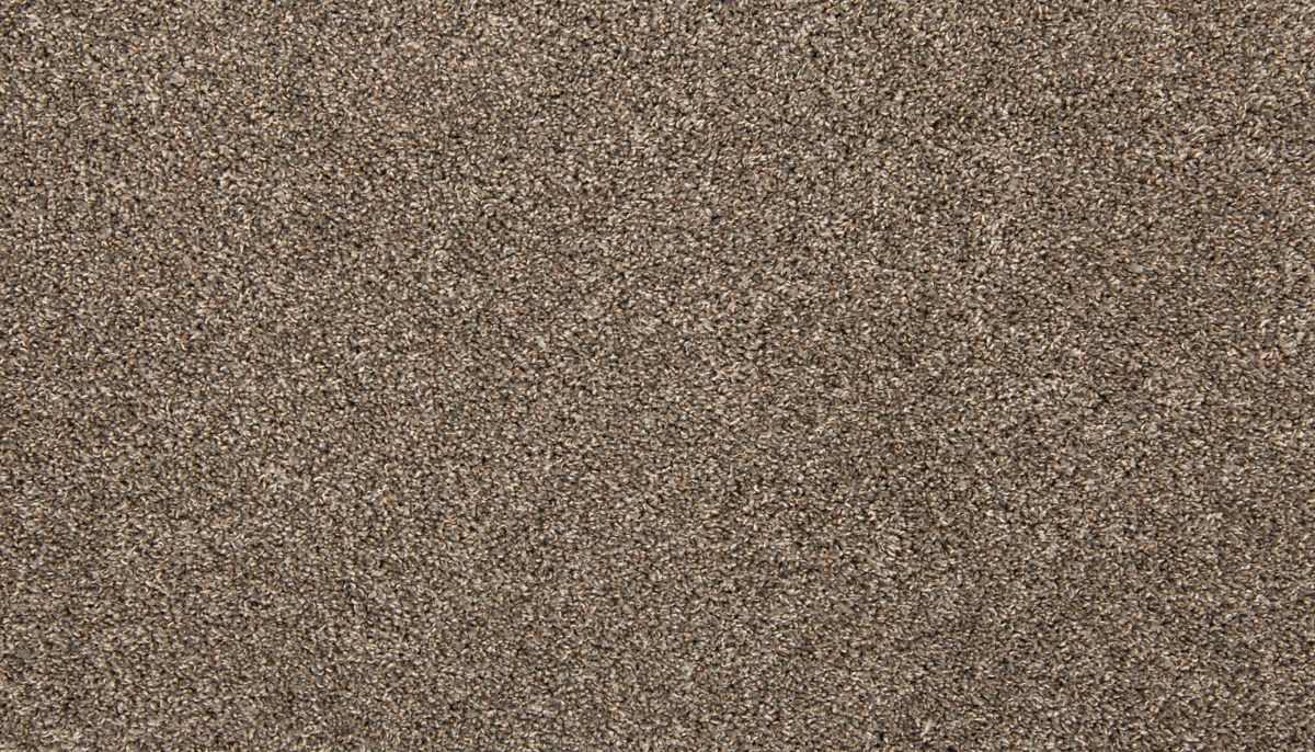 Color Classics II carpet in Gravity