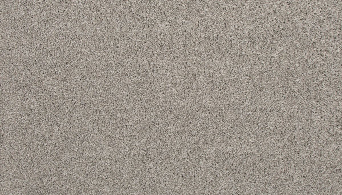 Revive carpet in Tarpley