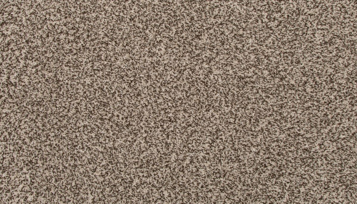 Revive carpet in Quiet Light