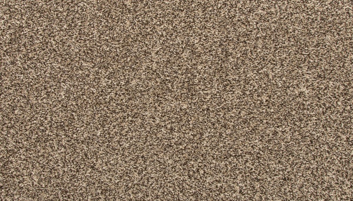 Revive carpet in Nomad