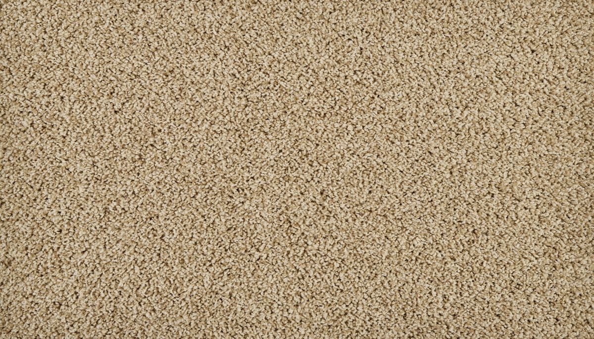 Sleek Tones carpet in New Wheat