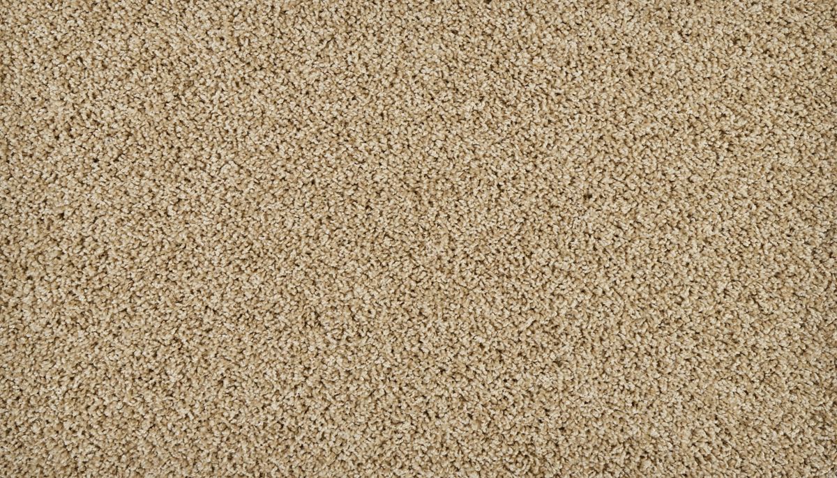 Sleek Tones carpet in Warm Almond