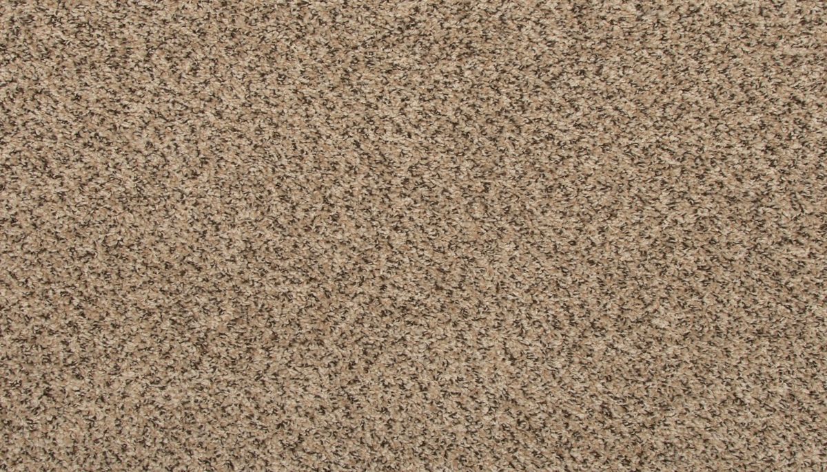 Revive carpet in Cross Country
