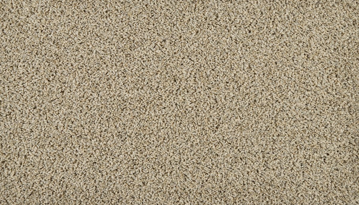 Sleek Tones carpet in Greige