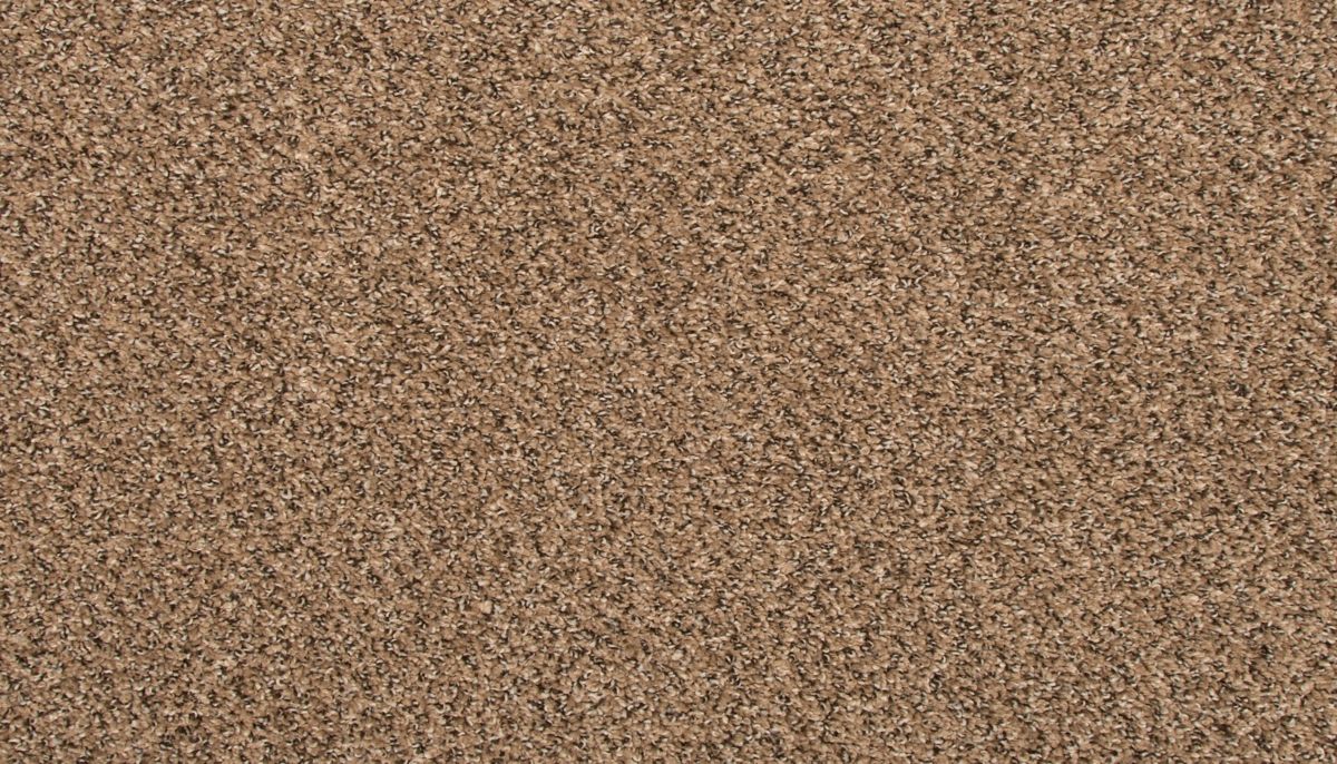 Revive carpet in Pretzel Twist